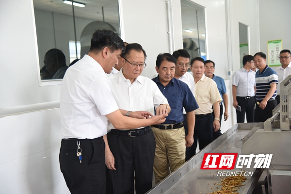 邵阳：科学规划因地制宜精准发力 全力推进中医药产业小镇建设
