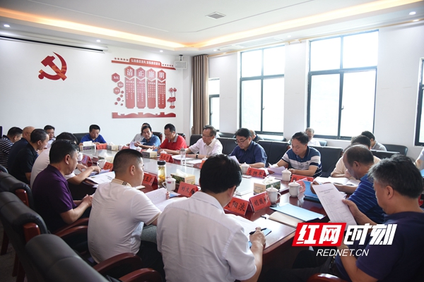 邵阳：科学规划因地制宜精准发力 全力推进中医药产业小镇建设