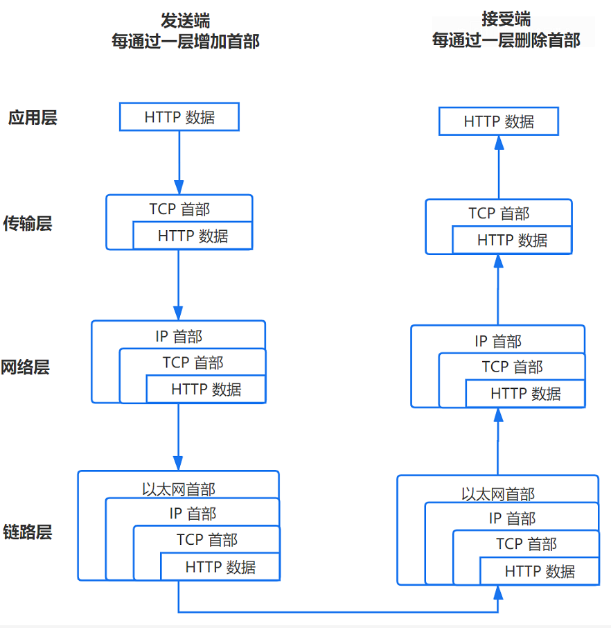 输入网址按回车，到底发生了什么？