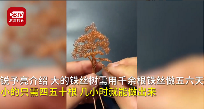 男子用铁丝diy盆景 网友 成功把铁丝掰成了买不起的样子 其他 蛋蛋赞