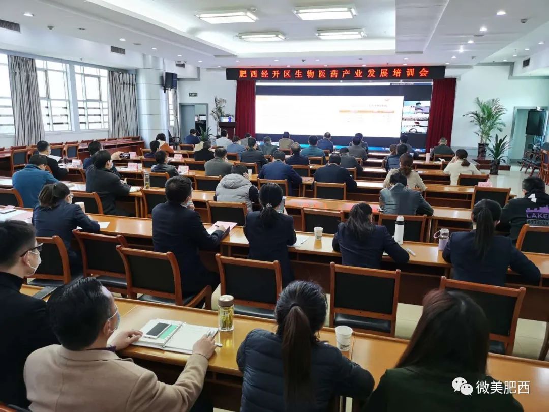 在上海就能注册肥西公司！我县生物医药产业依托长三角G60科创走廊先行突破