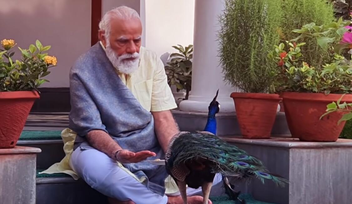 ӡȷＴͻ500ʵغڣǵԼԼΪæιȸ