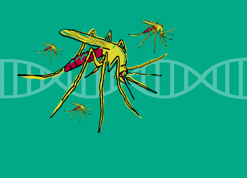 人类终于找到了对蚊子“种族灭绝”的杀手锏