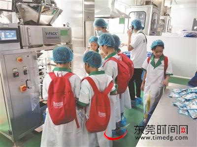 小记者走进东莞国药 体验中医药文化魅力