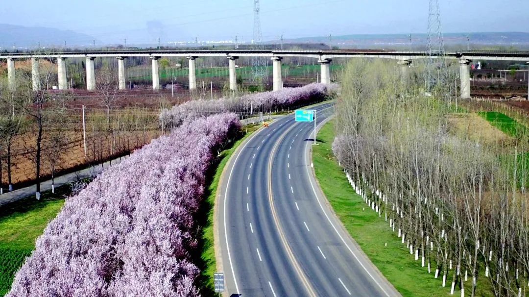 服务全运 美化城市｜聚精会神打赢攻坚战！秋冬季城市绿化敲黑板划重点啦