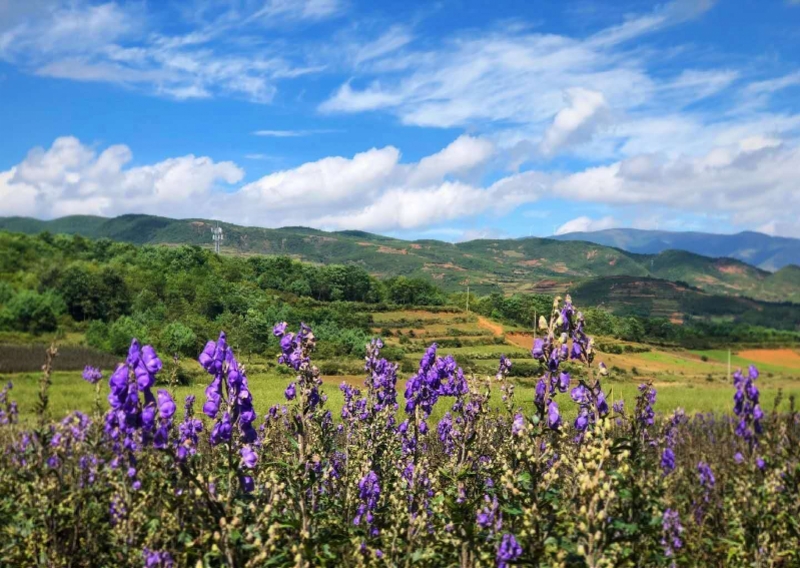 好医生董事长耿福能：中药材源头控制好，中医药就能发扬光大