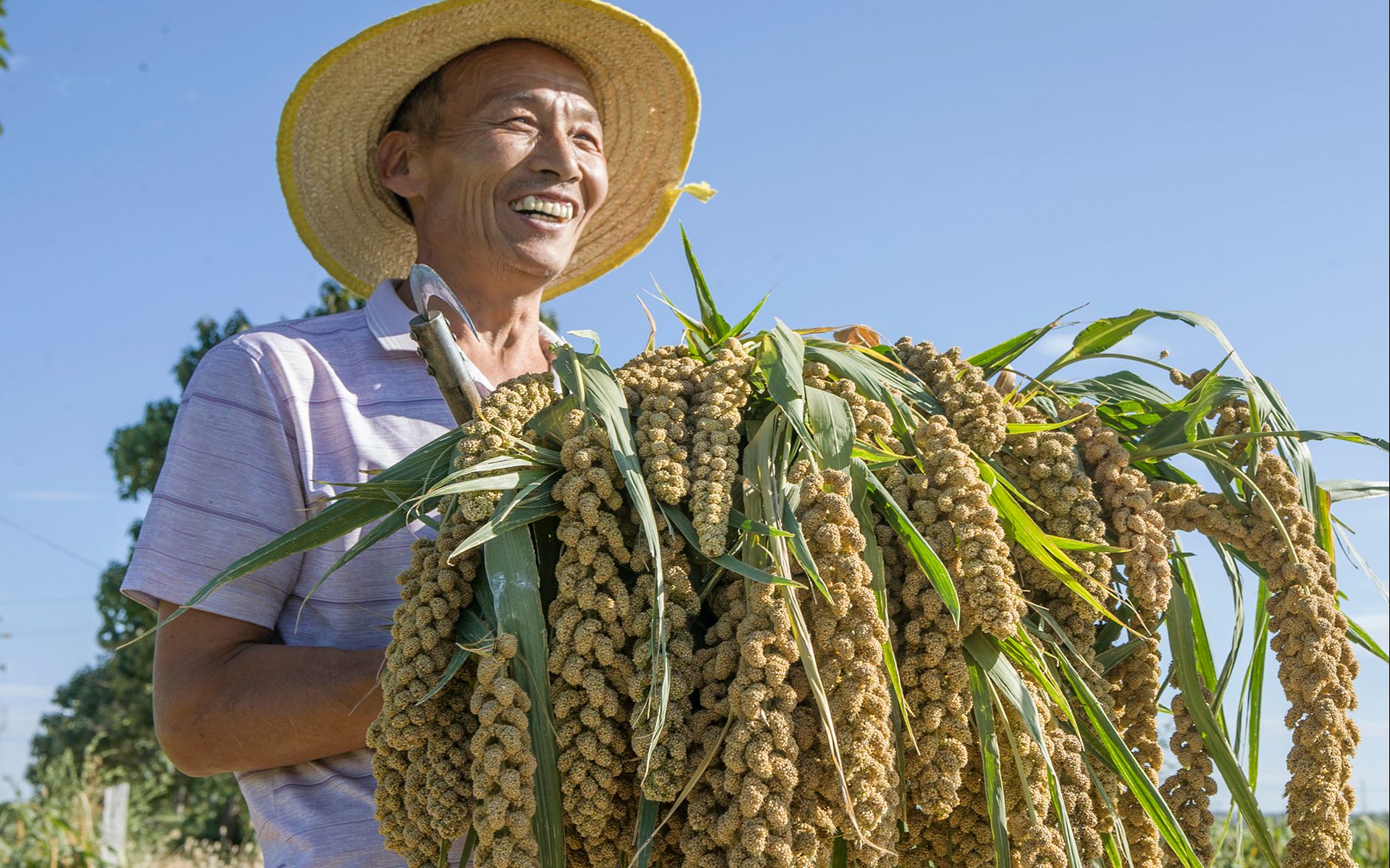 中国农民丰收节在山西运城正式开幕