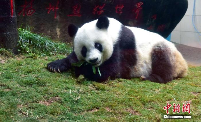 北京亚运三十年：一首歌 一座城 一段泛黄的流金岁月