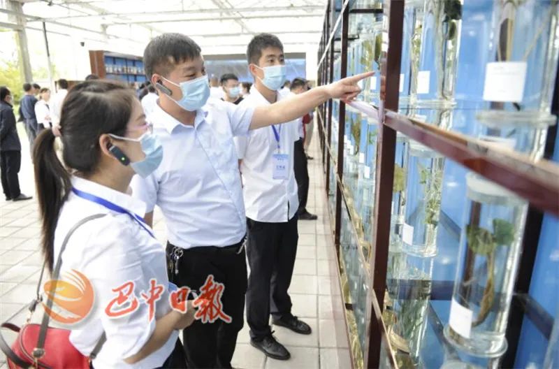 全国中药材产业扶贫工作推进会在巴中召开