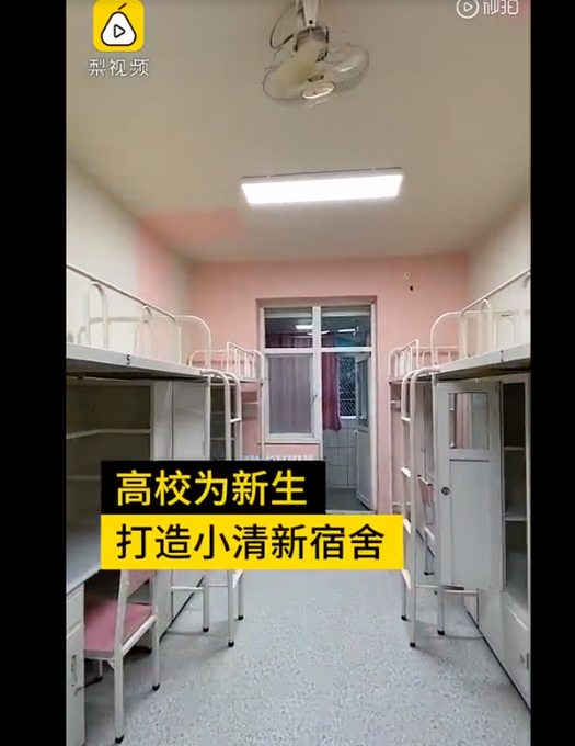 陕西高校为新生打造小清新宿舍，女生惊呼太少女，网友们酸了