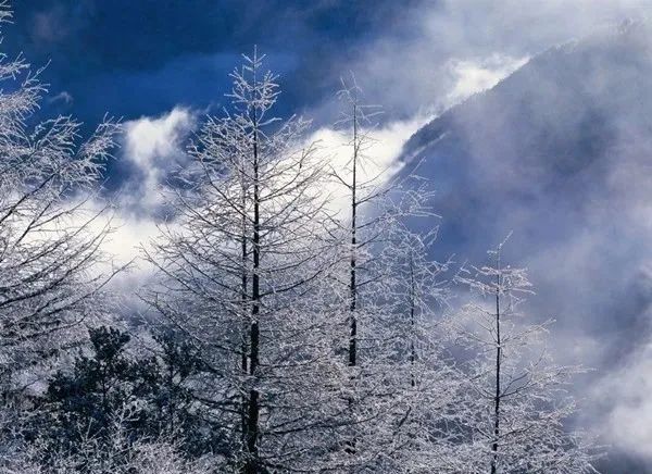 Haven’t been to Inner Mongolia to see the spring, summer, autumn and winter
