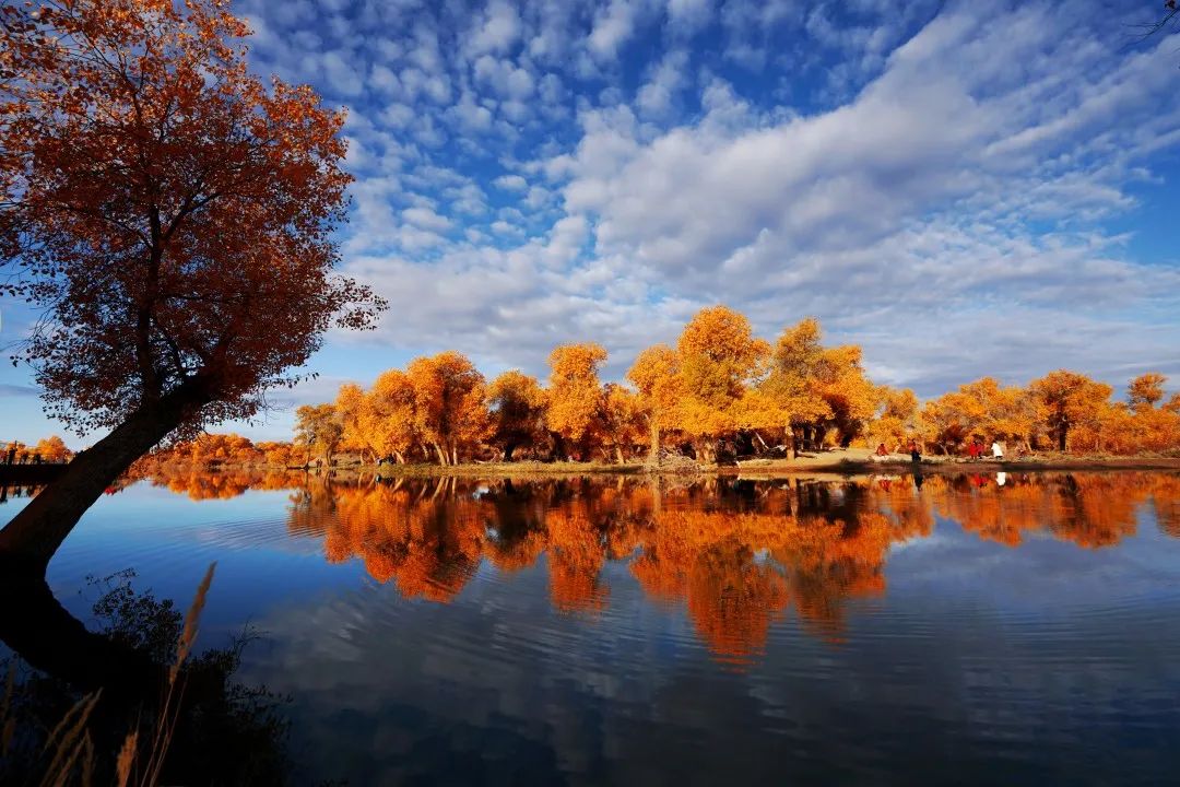 Haven’t been to Inner Mongolia to see the spring, summer, autumn and winter