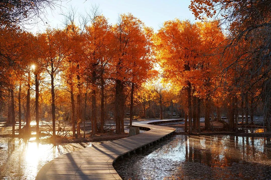 Haven’t been to Inner Mongolia to see the spring, summer, autumn and winter