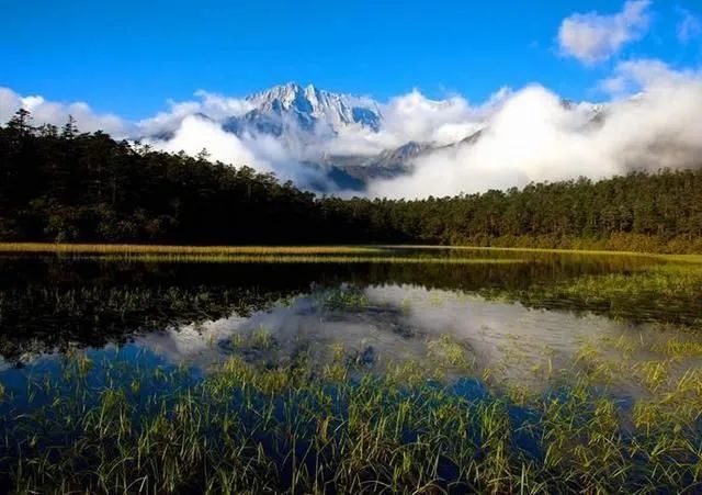 Haven’t been to Inner Mongolia to see the spring, summer, autumn and winter