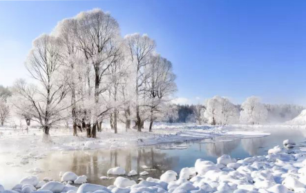 Haven’t been to Inner Mongolia to see the spring, summer, autumn and winter