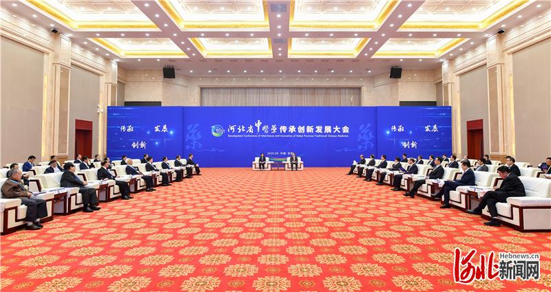 王东峰会见省中医药传承创新发展大会嘉宾