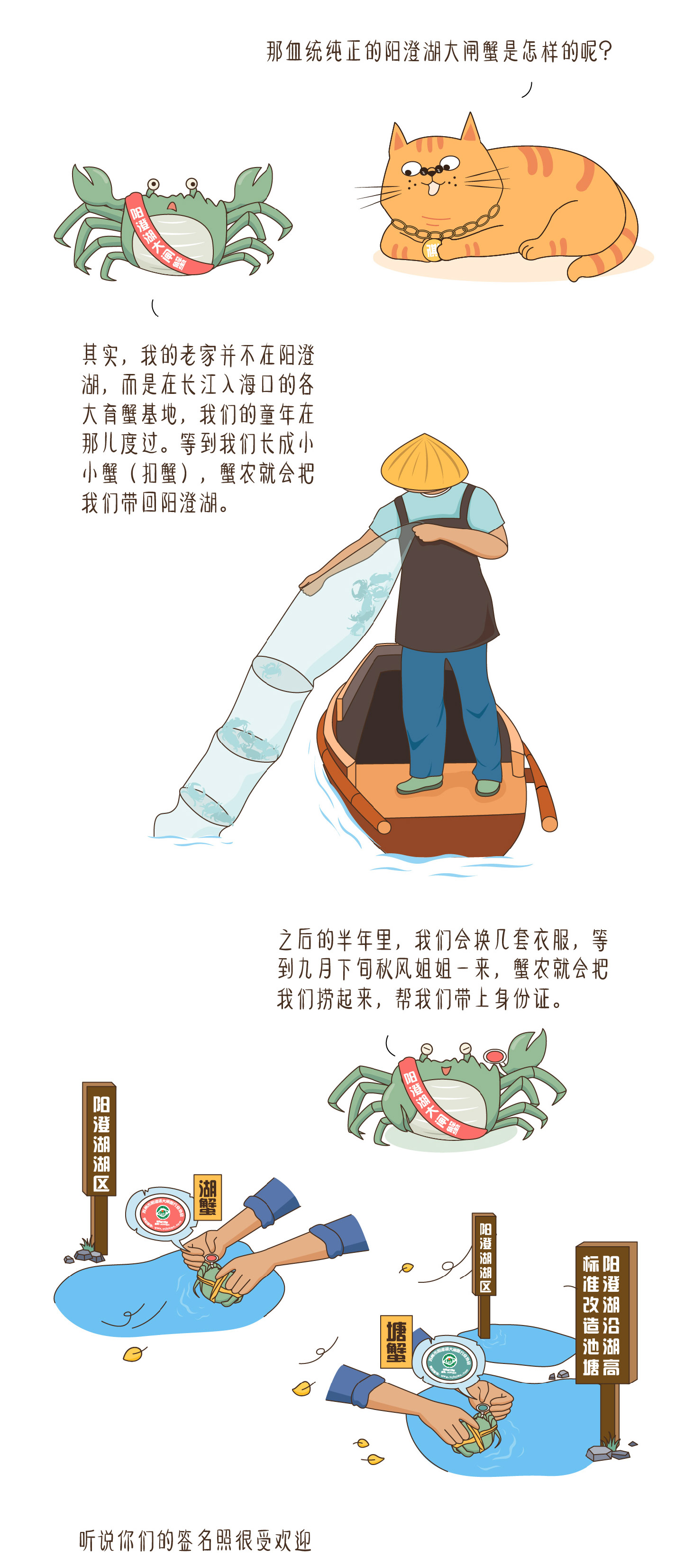 一只正宗阳澄湖大闸蟹的自白