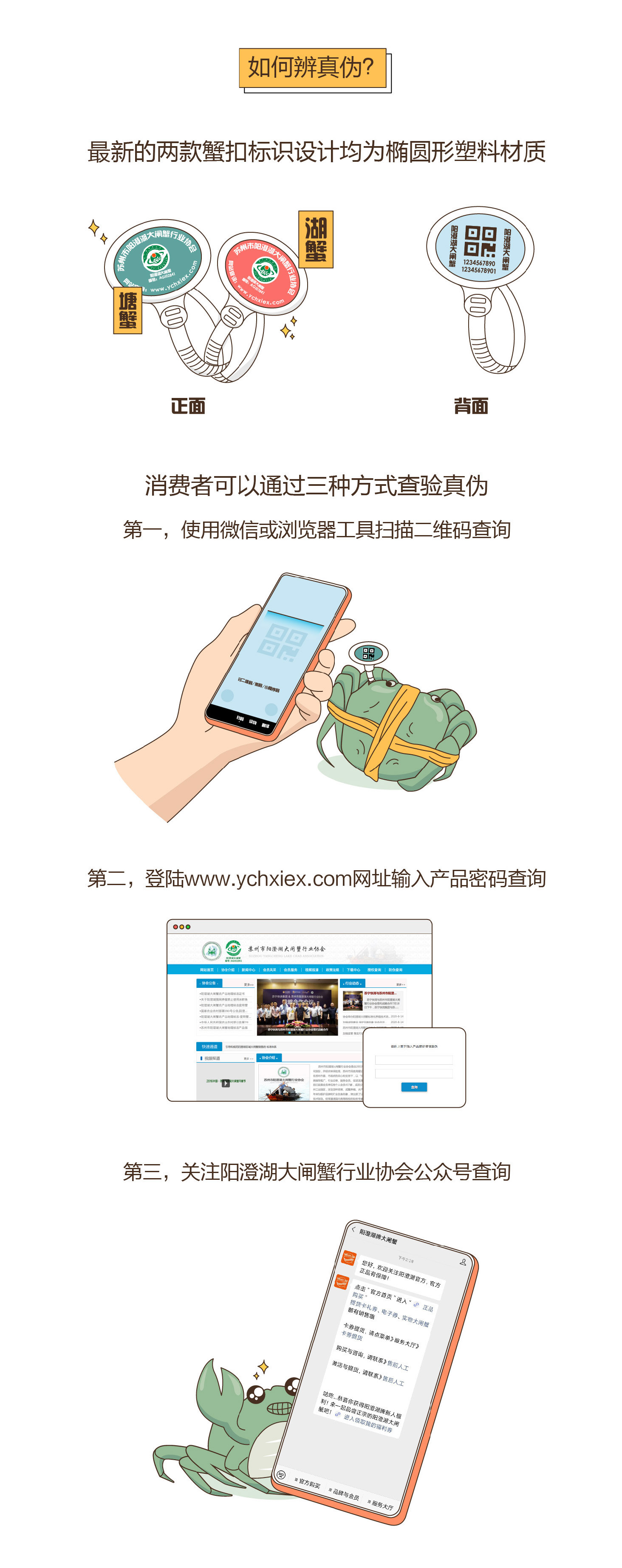 一只正宗阳澄湖大闸蟹的自白