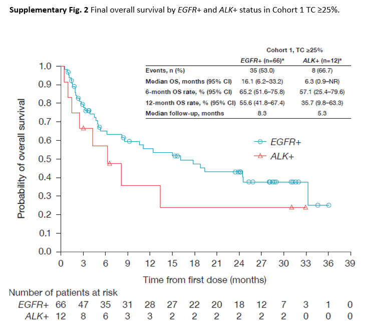 EGFR+经治NSCLC患者使用PD-L1抑制剂，OS达16.1个月！ATLANTIC最终分析出炉