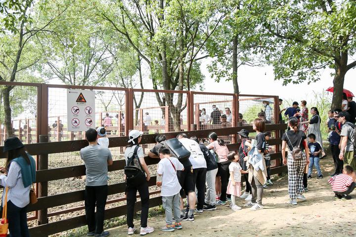 长假第一天：浙江有三个景区“满员”，雷峰塔等景区呈现红色“限流”