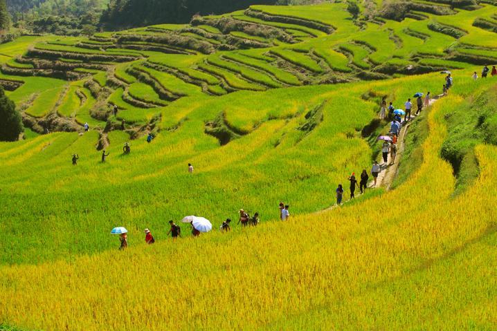 今天浙江重点景区迎客137.71万人次 比2日增加1.56%