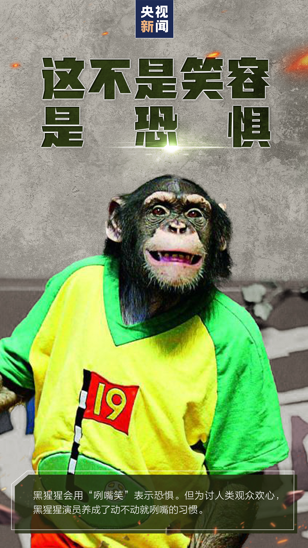 拒絕也是一種保護(hù)，請遠(yuǎn)離這類表演