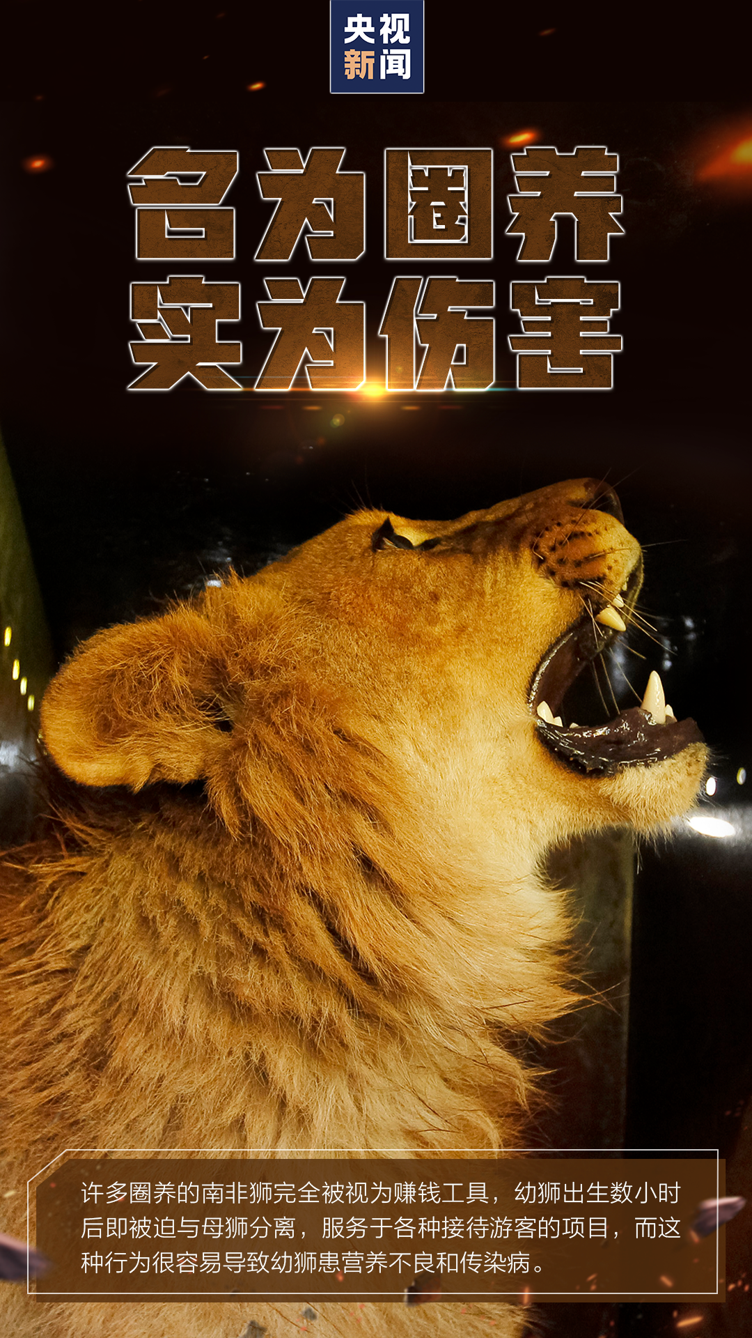 拒絕也是一種保護(hù)，請遠(yuǎn)離這類表演