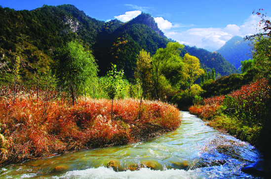 Jiaocheng Pangquangou: A Fairy Tale in Autumn