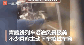 「风景」火车上的别样“风景” 乘客坐火车为看沿途风景集体擦车窗