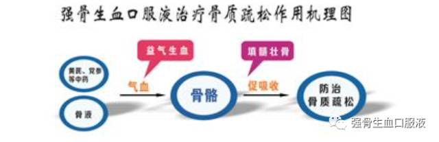 天劲强骨，钙血双补