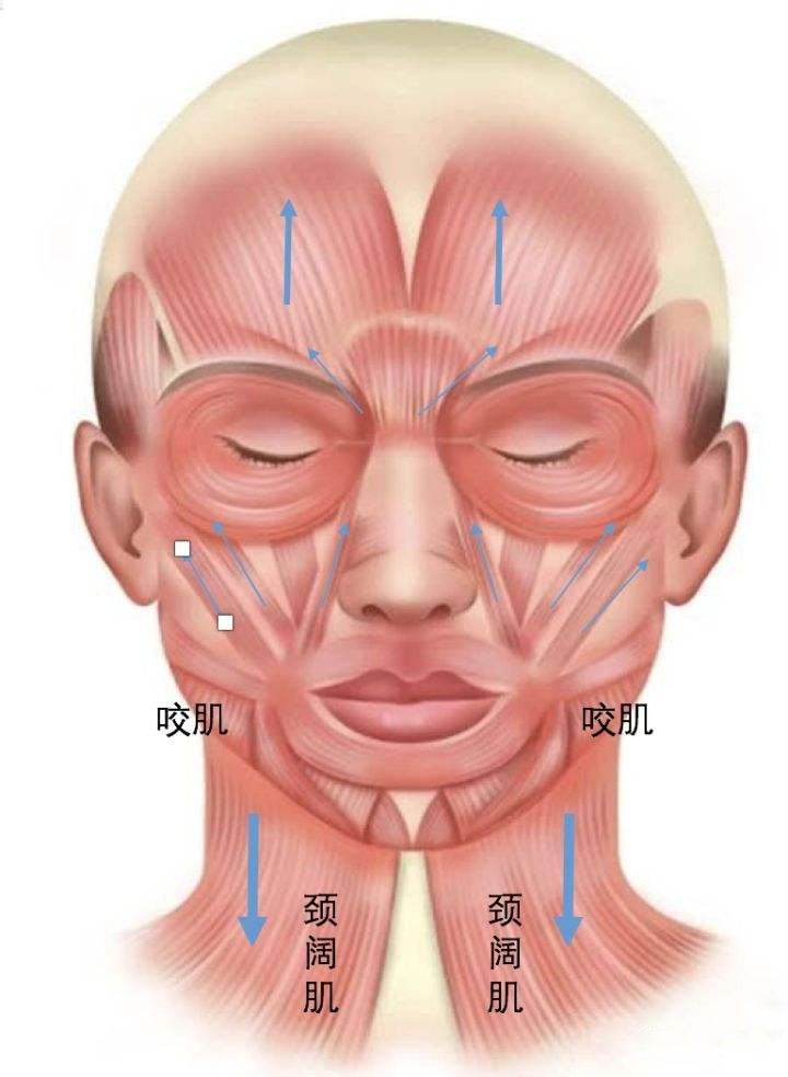 打瘦脸针后脸下垂了？原因可能出在这