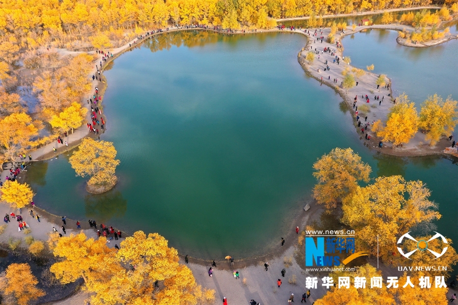 ""Flying" China" Jiuquan, Gansu: Populus euphratica wears "Golden Armor"