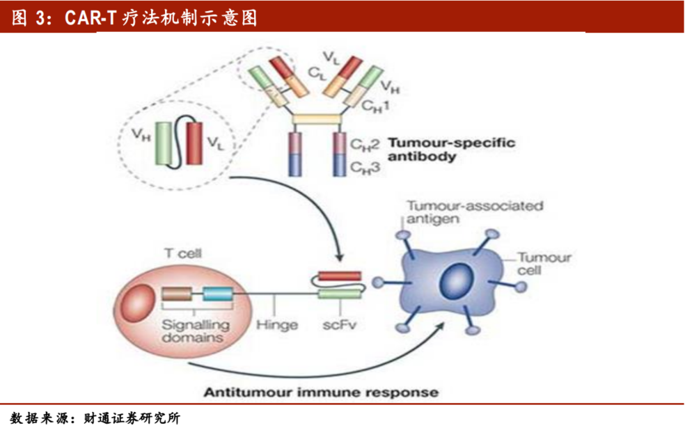 基因治疗将引领生物医药第三次革命？