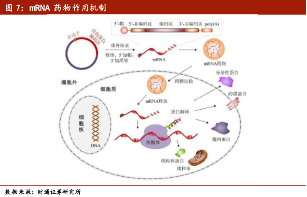基因治疗将引领生物医药第三次革命？