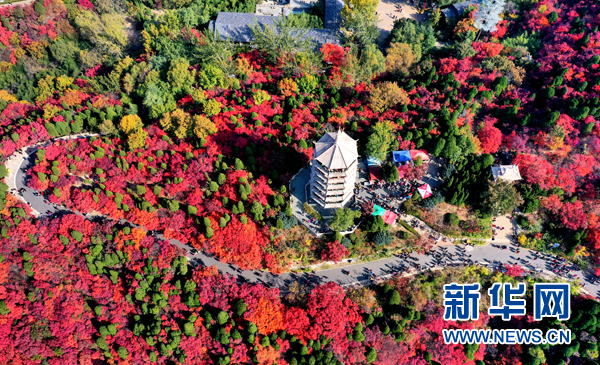 The four thousand acres of red-leaf forest in Jinan Hongye Valley is full of picturesque