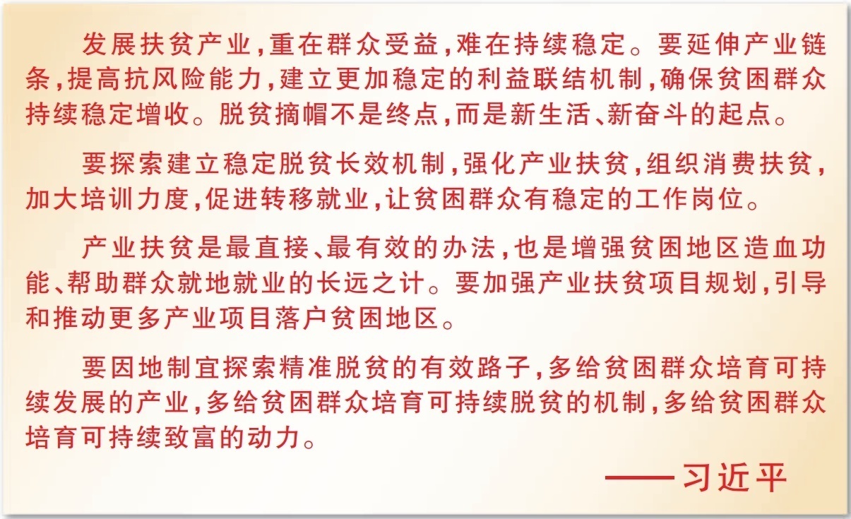 ʮ塱ǹĵЩ£꣬ƶҵ