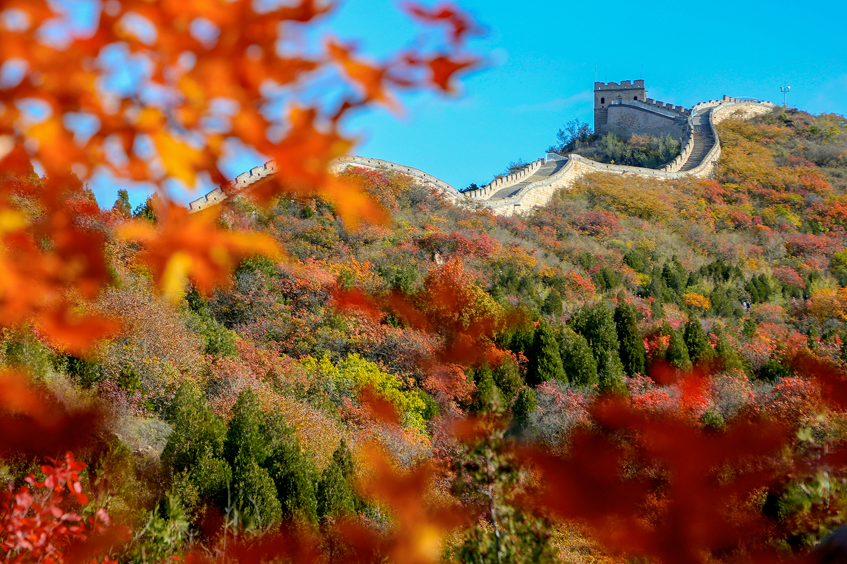 北京紅葉進(jìn)入觀賞期 19處公園景區(qū)喚你來“賞秋”