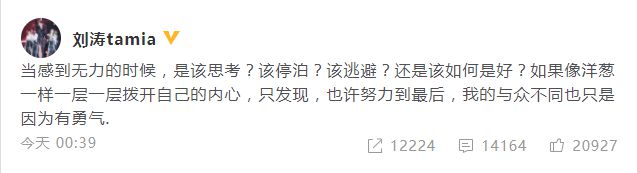 力破离婚传闻！刘涛高调示爱王珂：你怎么这么可爱