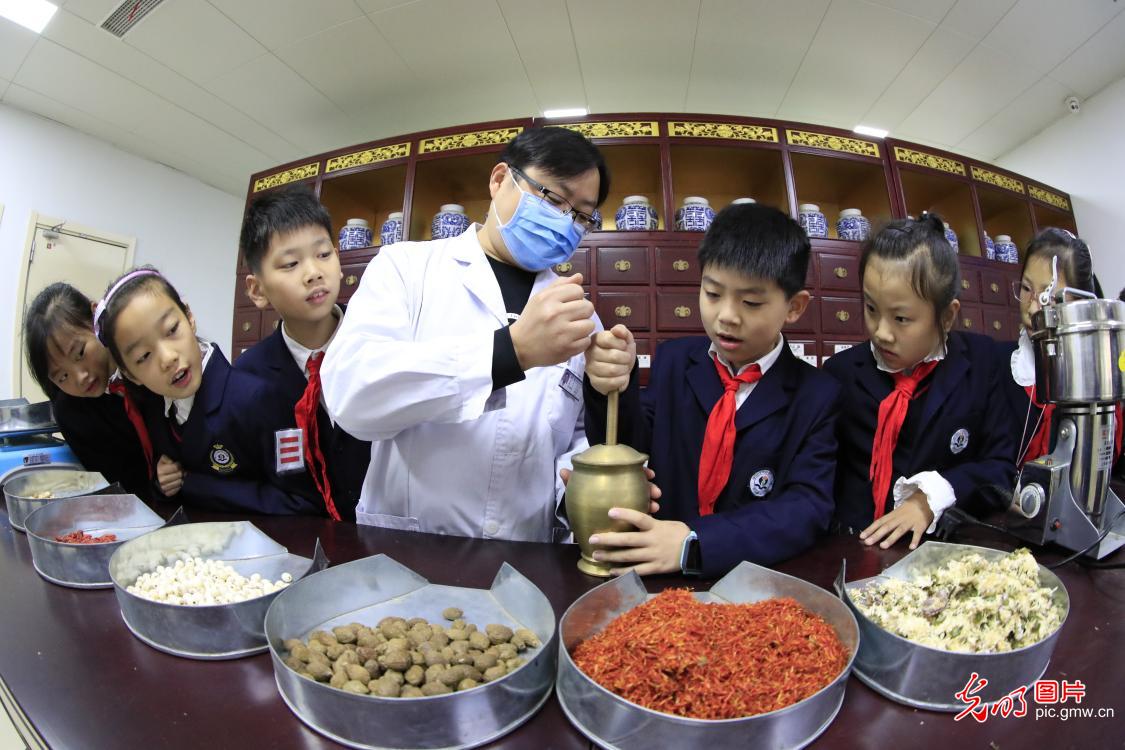 世界传统医药日：识草药 学中医