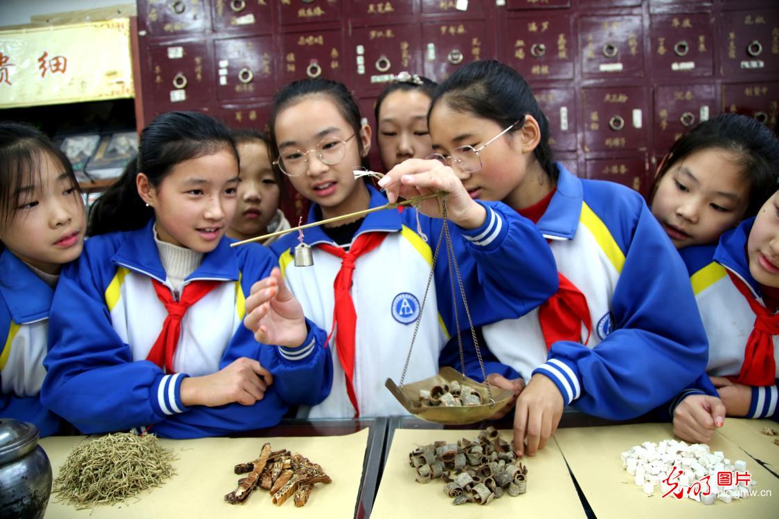 世界传统医药日：识草药 学中医