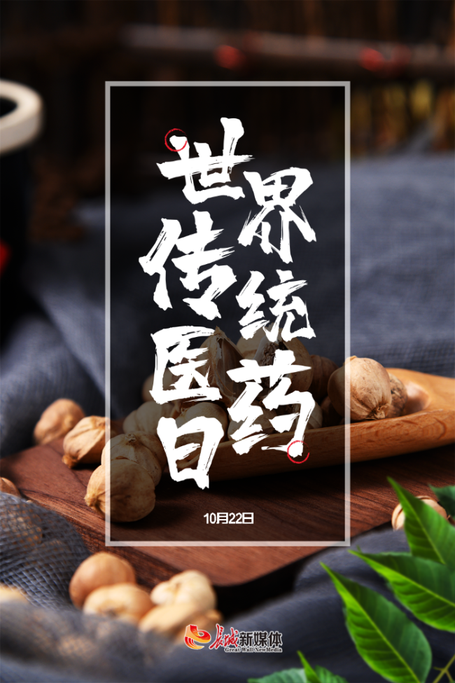 世界传统医药日丨感受传统医药魅力