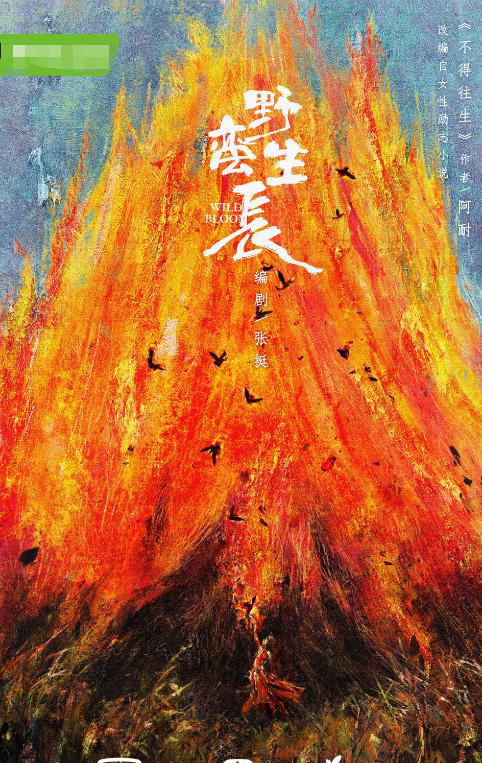 《都挺好》作者阿耐新剧来了！定名《野蛮生长