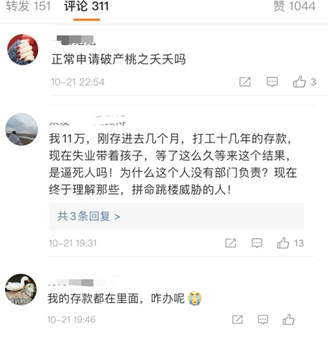 申请破产！汪涵代言的千亿P2P又有事，网友炸了