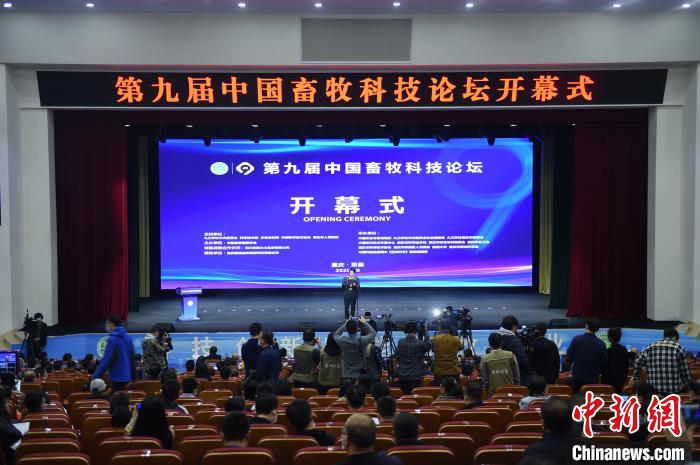 第九届中国畜牧科技论坛在重庆举行 专家学者共探现代畜牧产业发展