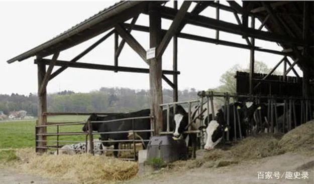 �������͸ķ����̺���࣬��22��ţ������������ң�ȴ��������