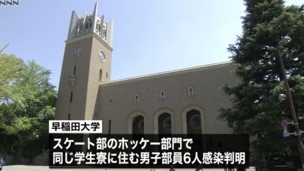 早稻田 法政大学爆发集体感染 东京都政府发出呼吁 国际 蛋蛋赞