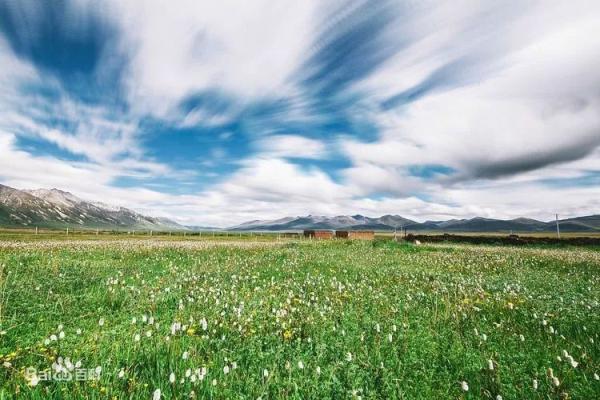 甘孜州五大草原上榜四川最美草原 你去过几个？