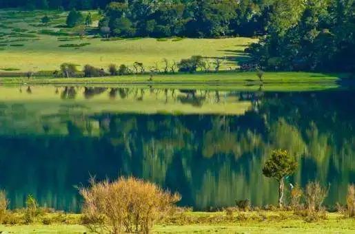 甘孜州五大草原上榜四川最美草原 你去过几个？