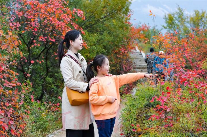 Ecological "dividends" benefit people's livelihood