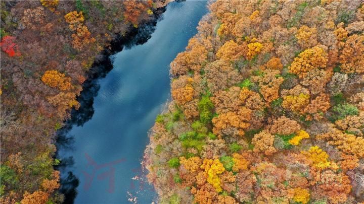 Ecological "dividends" benefit people's livelihood